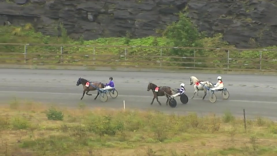 Tom Carlsens minneløp (løp 2) Bodø Travbane