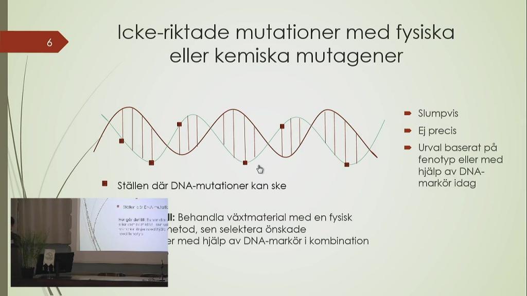 Framtidens gröna energi kan odlas i Norrland 6 februari 2019