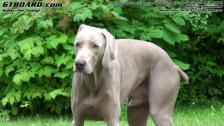 HD+ : Test of my new camcorder, next Shootout in early August