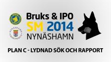 Söndag: Del 2: PLAN C - Lydnad sök och rapport - 31 Aug 11:38