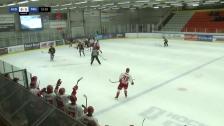 Highlights HC Dalen - Troja Ljungby 2-10