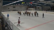 Pantern VS Västervik - 02 Apr 21:16