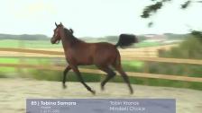 # - 85 Tobina Samara