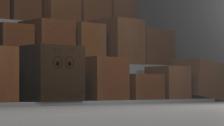 Box