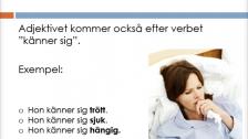 Adjektiv - placering av adjektivet- turkiska