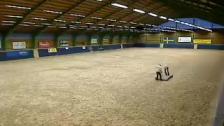 SPHA Paintchampionat Lördag - 27 Sep 19:04