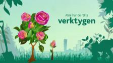 Vill du utveckla ditt företag ?